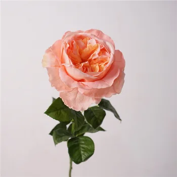 Strani Vlažilne Rose Juliet Austin Simulirani Cvet Snop DecorLiving Soba Čaj Tabela Tabela Cvetlični Aranžma Fotografija
